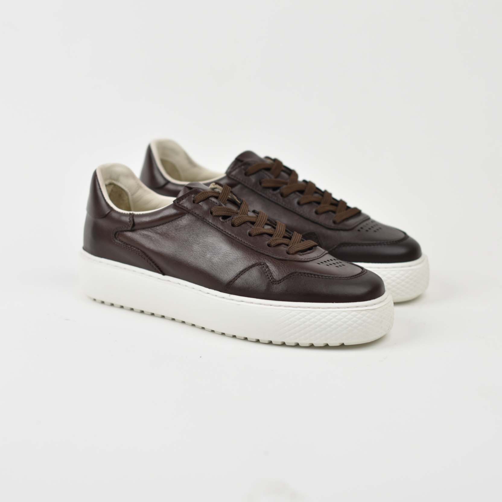 Clean Motion Brown 03KB