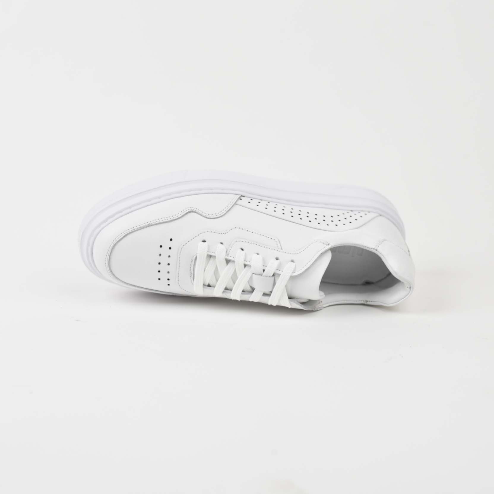 Modern Sole 1040WW - Image 5