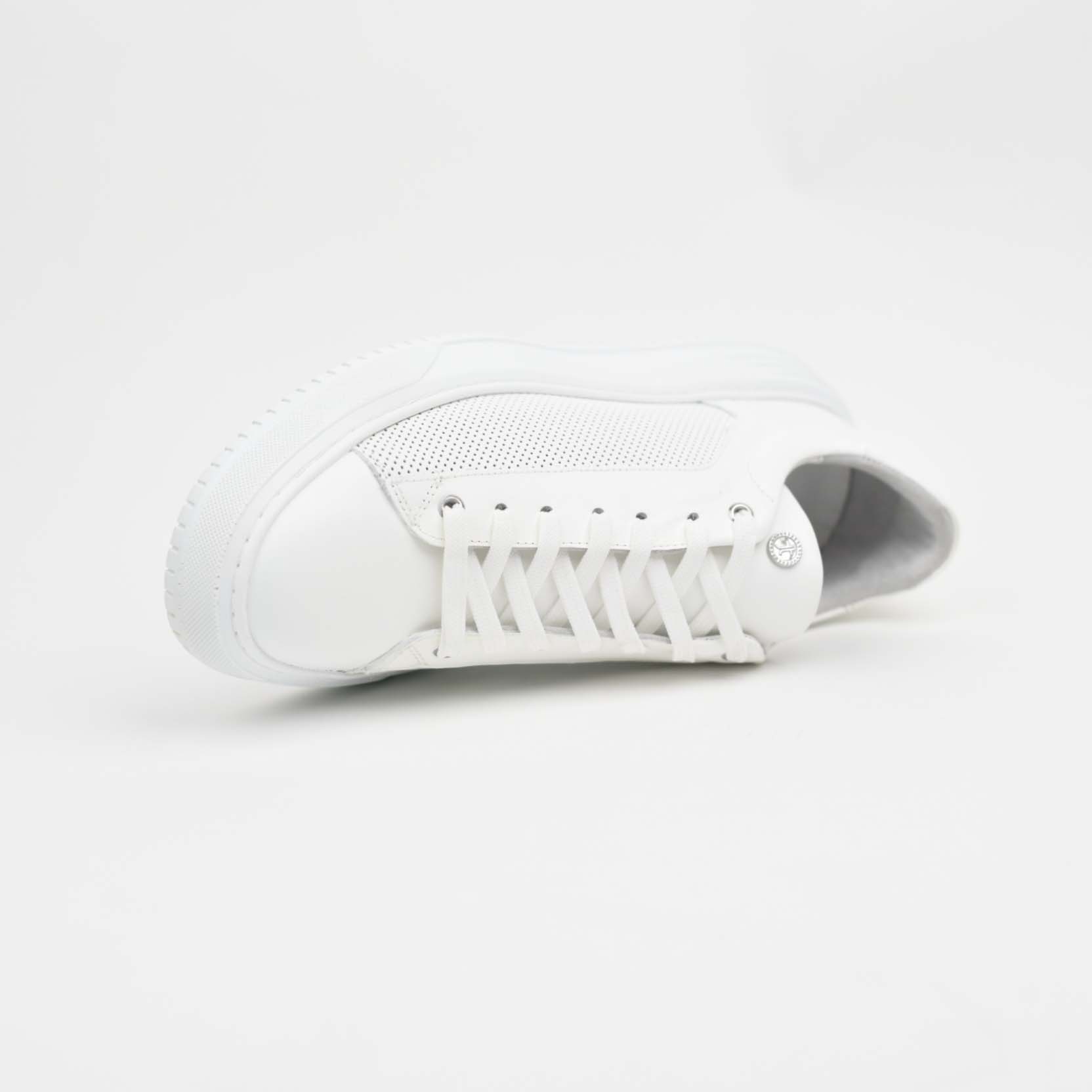 Flex Walk - Image 4