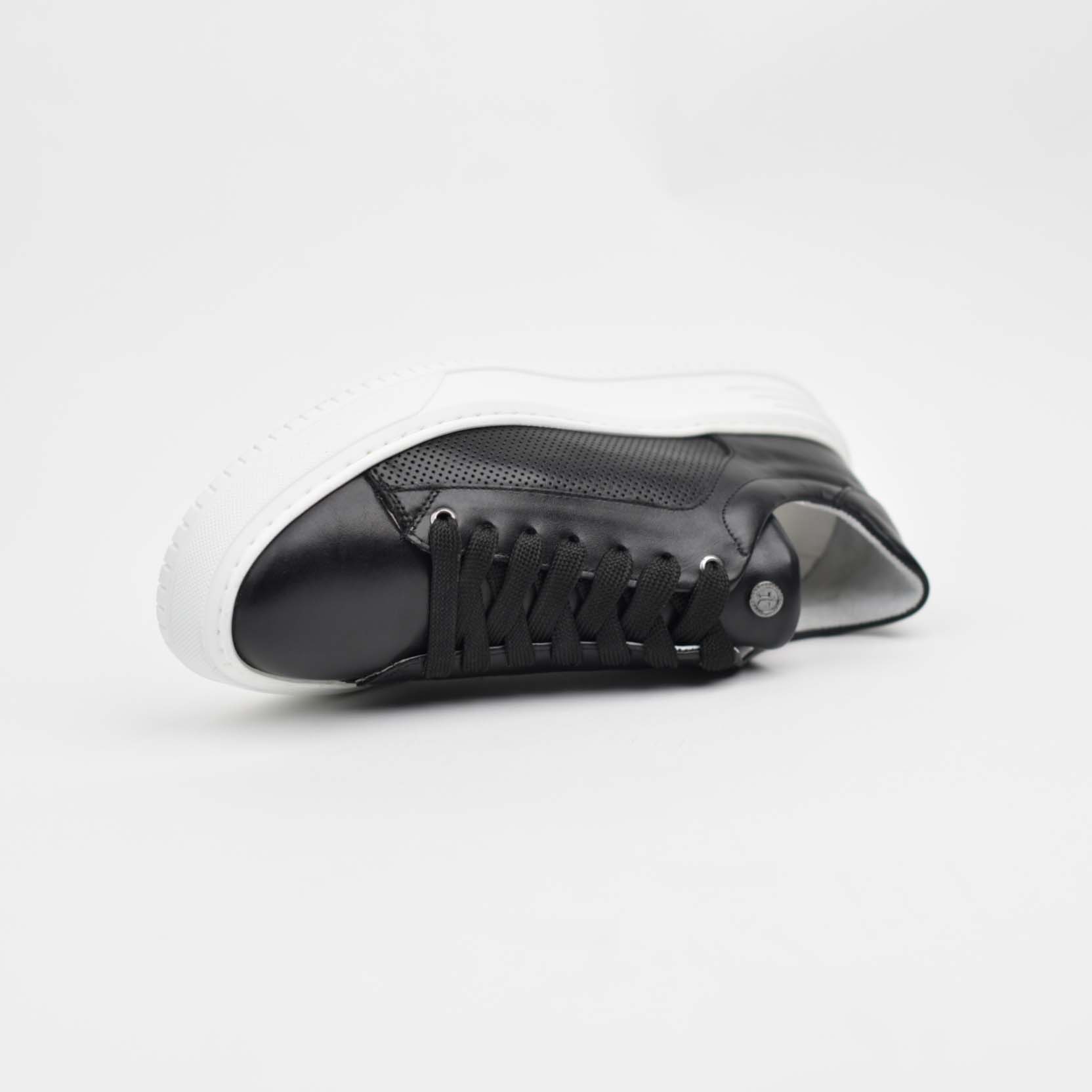 Royal Step ZB - Image 4